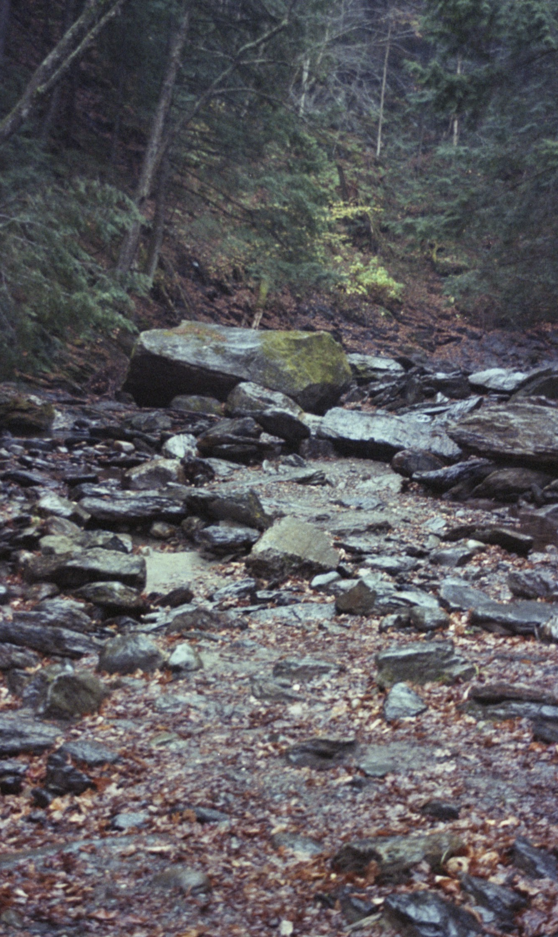 Screenshot 2026-01-17 at 7.34.19 PM.png