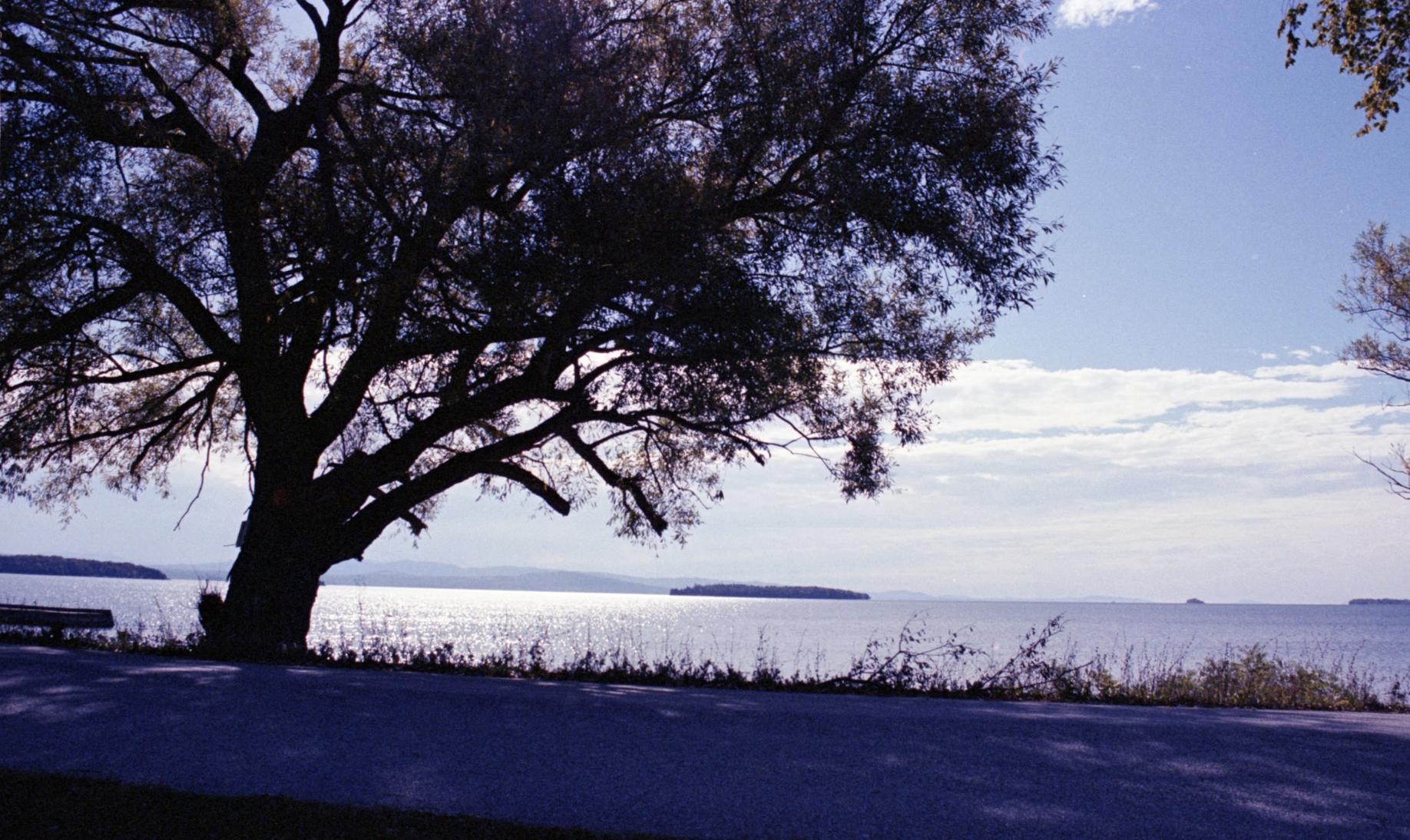 Screenshot 2026-01-17 at 7.37.12 PM.png