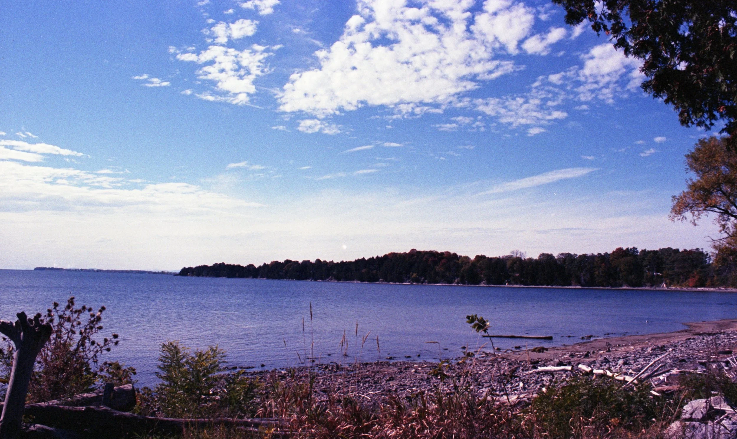 Louisa Story20251114_96.jpg