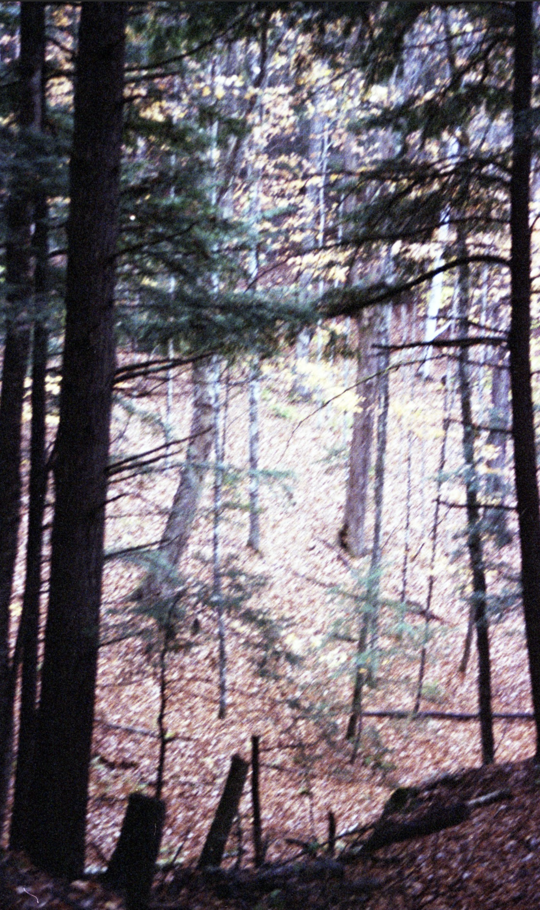 Screenshot 2026-01-17 at 7.35.03 PM.png