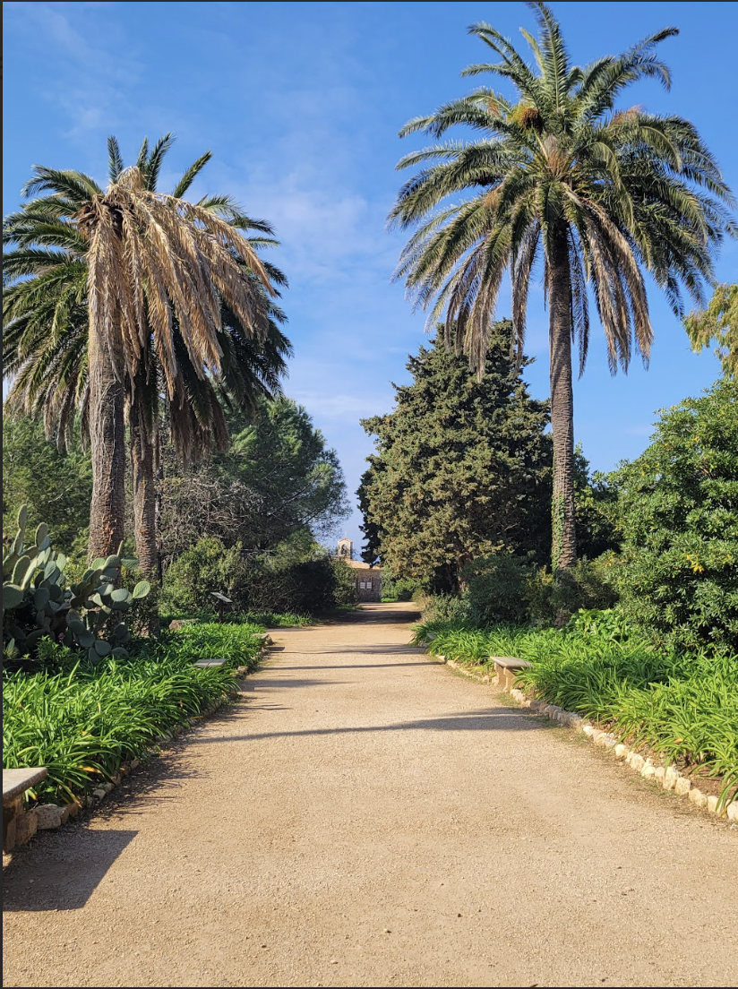 Screenshot 2026-01-17 at 7.10.22 PM.png