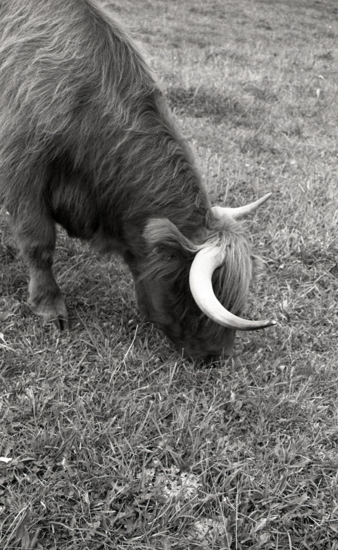 Screenshot 2026-01-17 at 7.28.14 PM.png