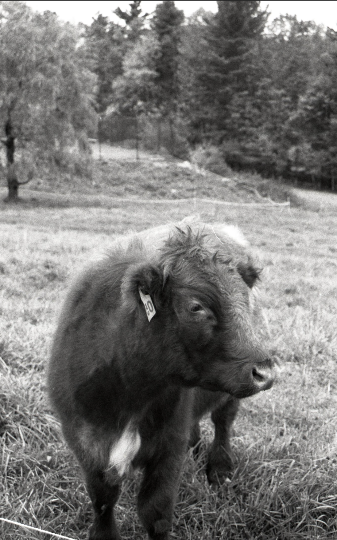 Screenshot 2026-01-17 at 7.28.45 PM.png