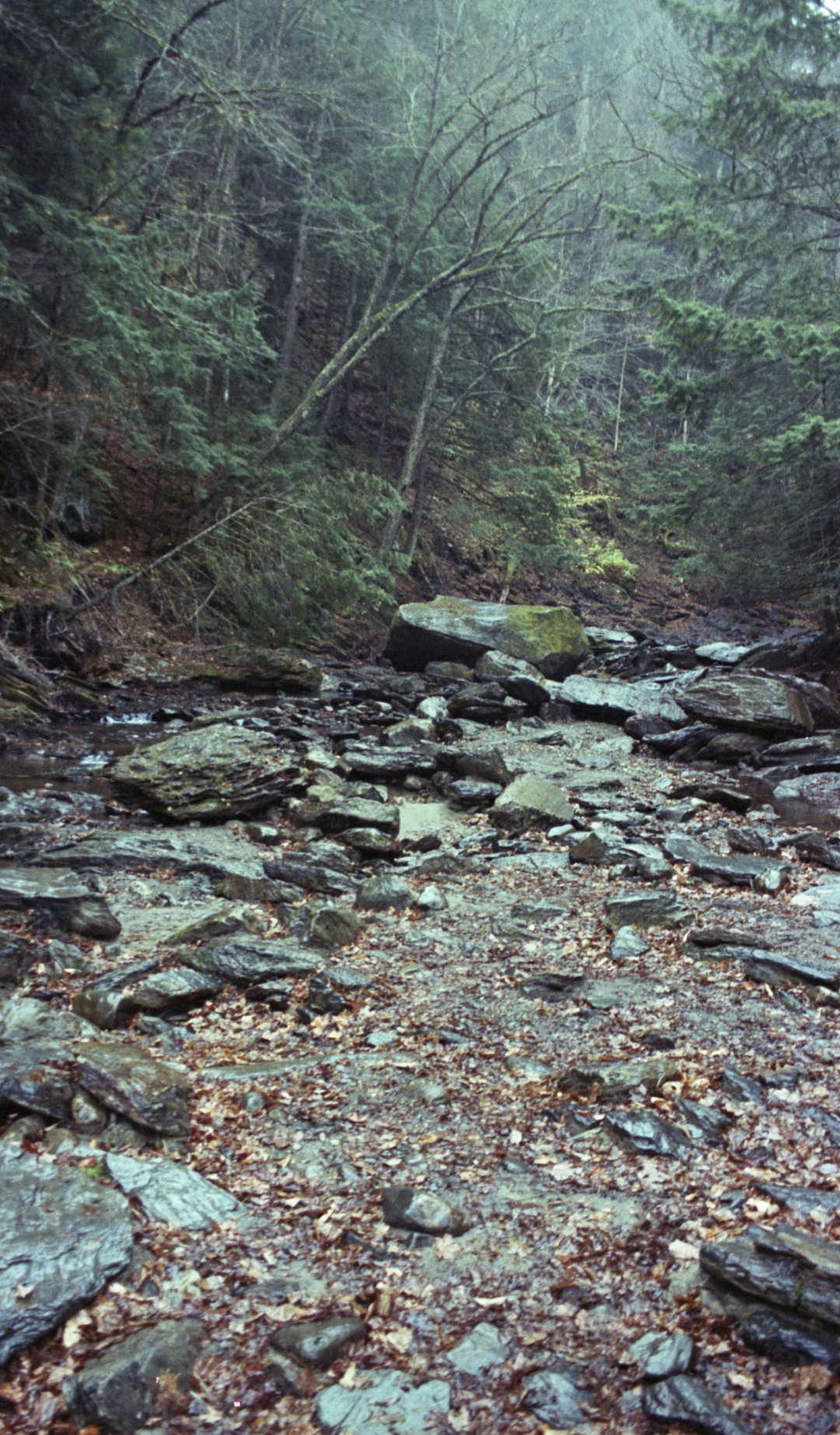 Screenshot 2026-01-17 at 7.34.26 PM.png