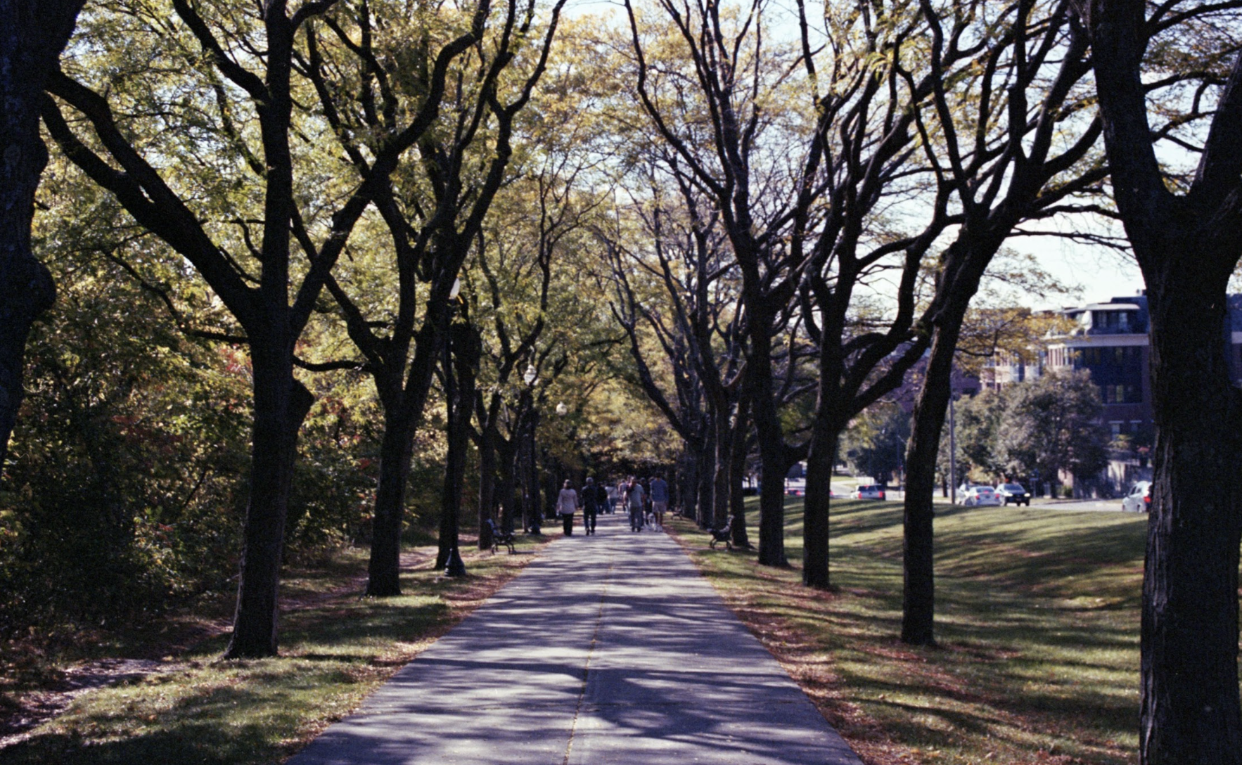 Screenshot 2026-01-17 at 7.32.35 PM.png