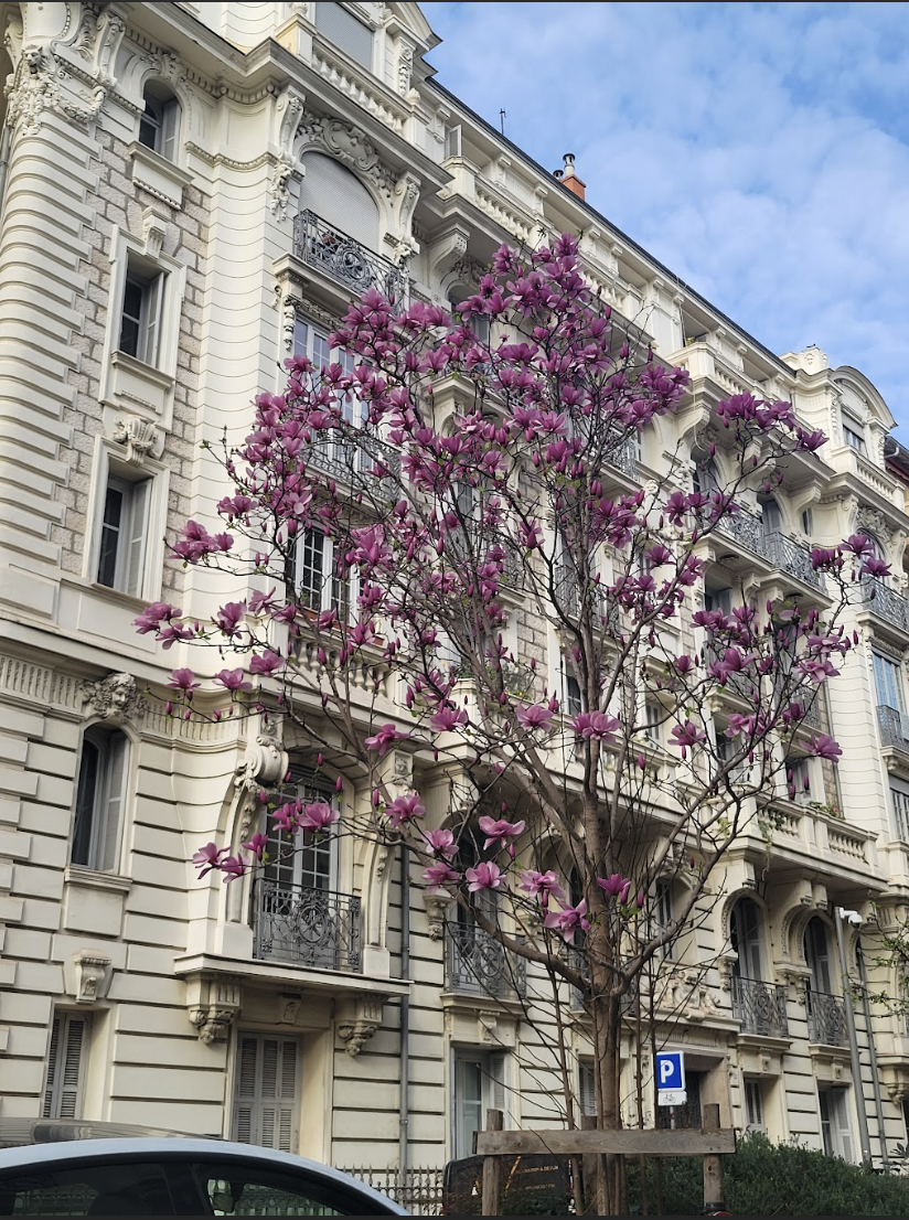 Screenshot 2026-01-17 at 7.10.38 PM.png