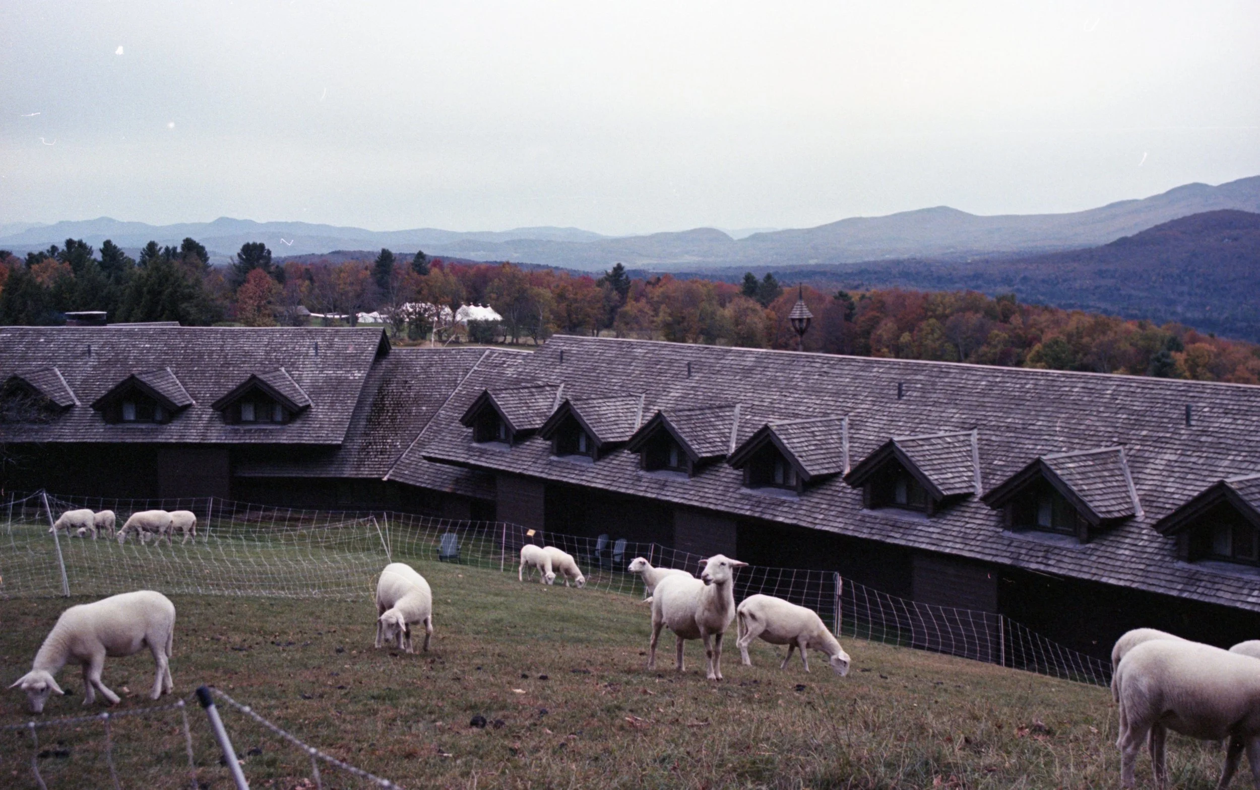 Louisa Story20251118_46.jpg