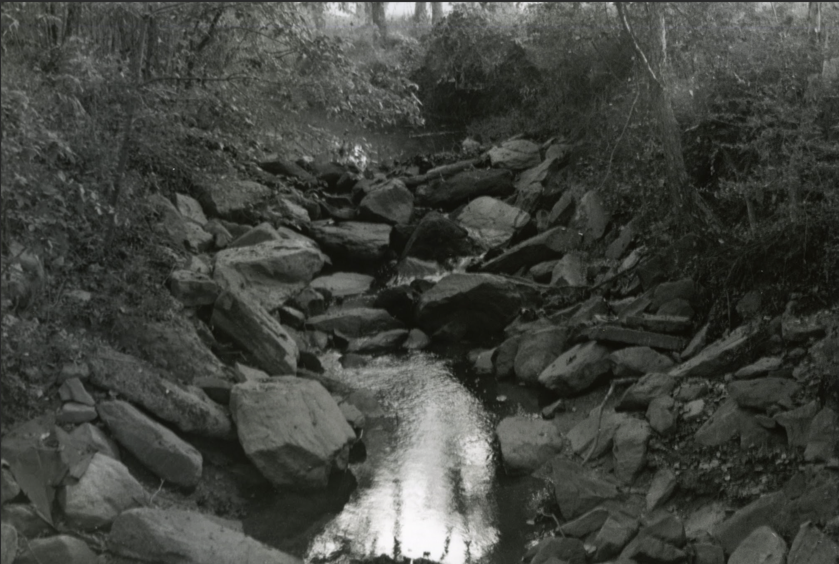 Screenshot 2026-01-17 at 7.40.49 PM.png