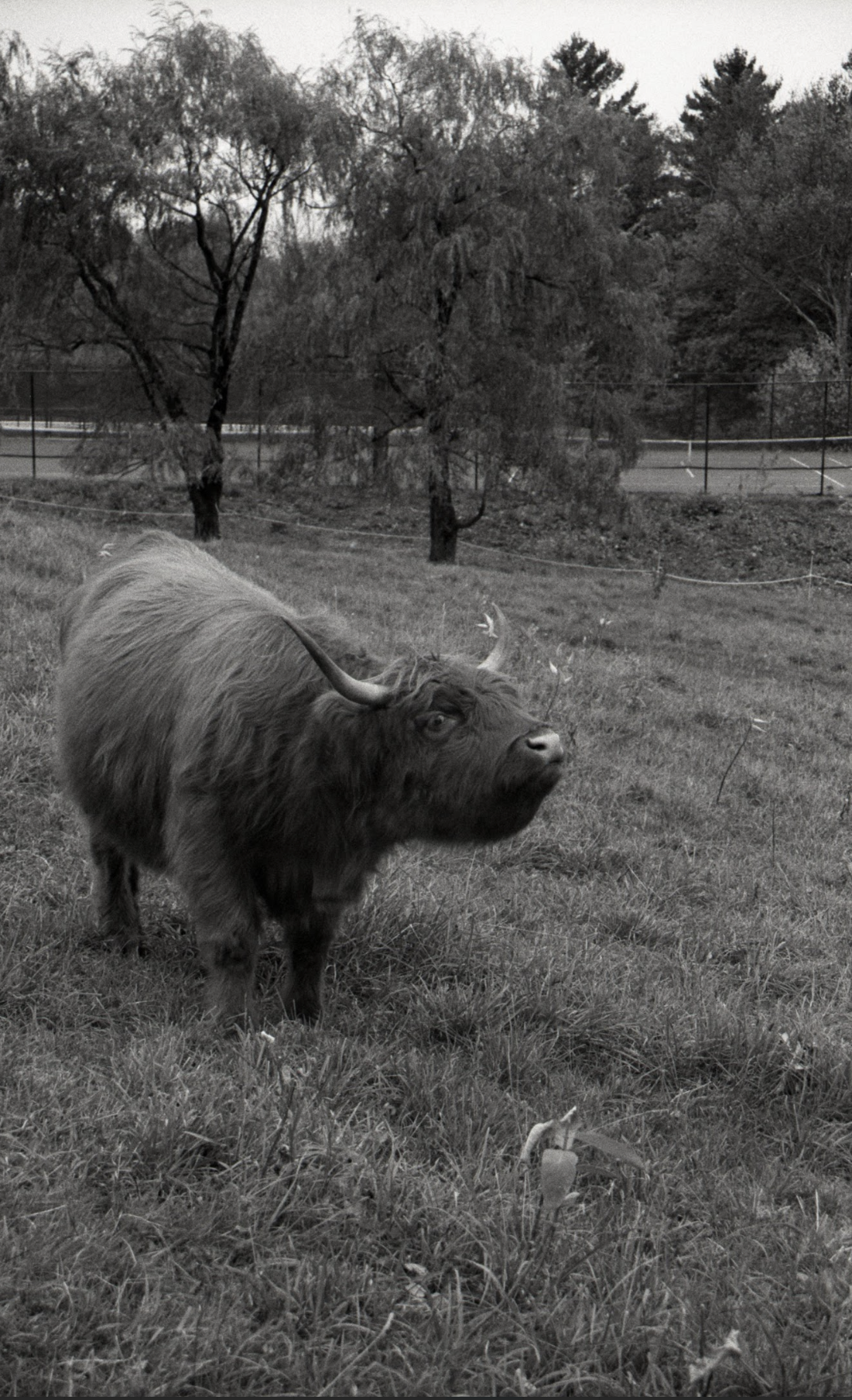 Screenshot 2026-01-17 at 7.28.54 PM.png