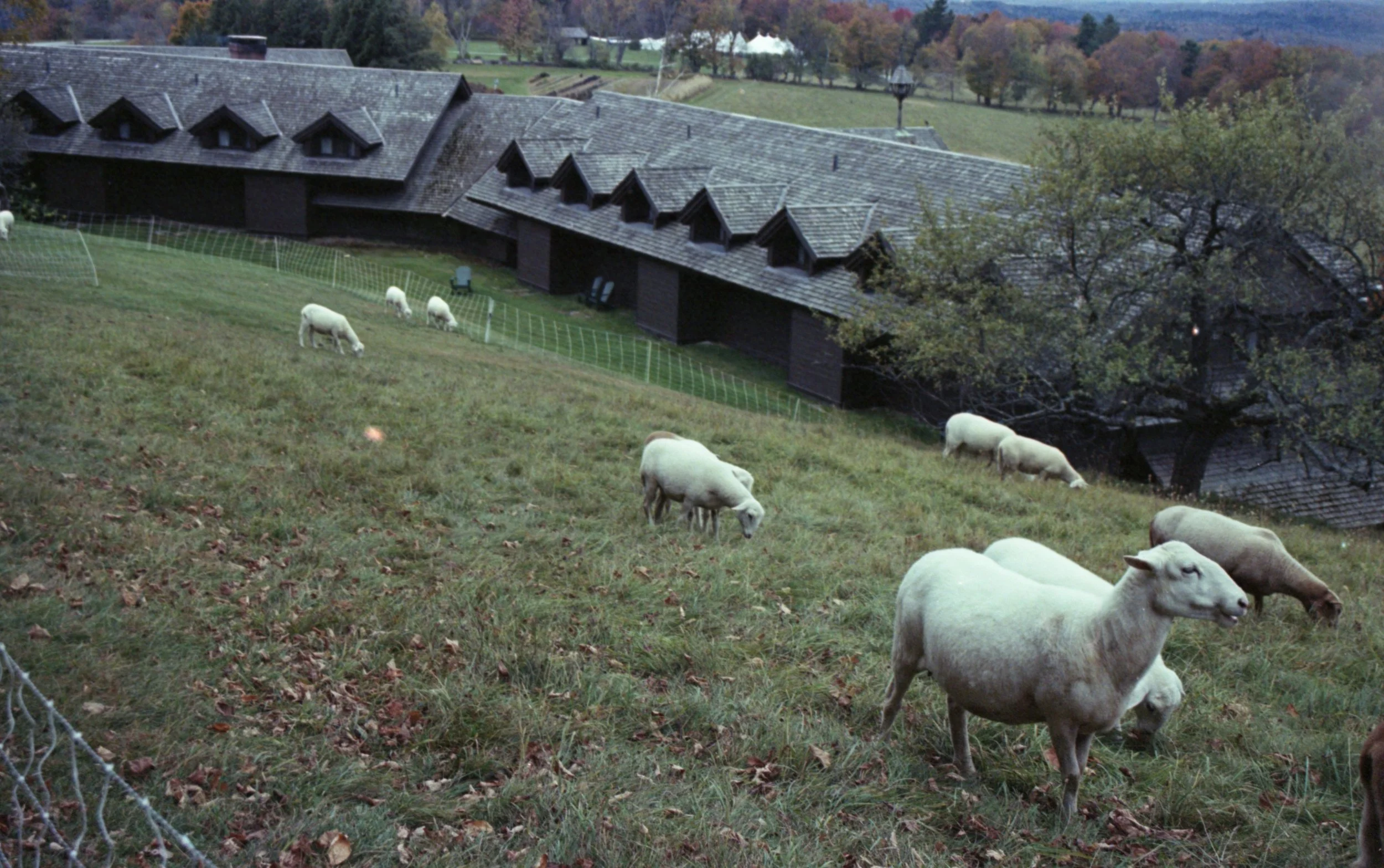 Louisa Story20251118_49.jpg