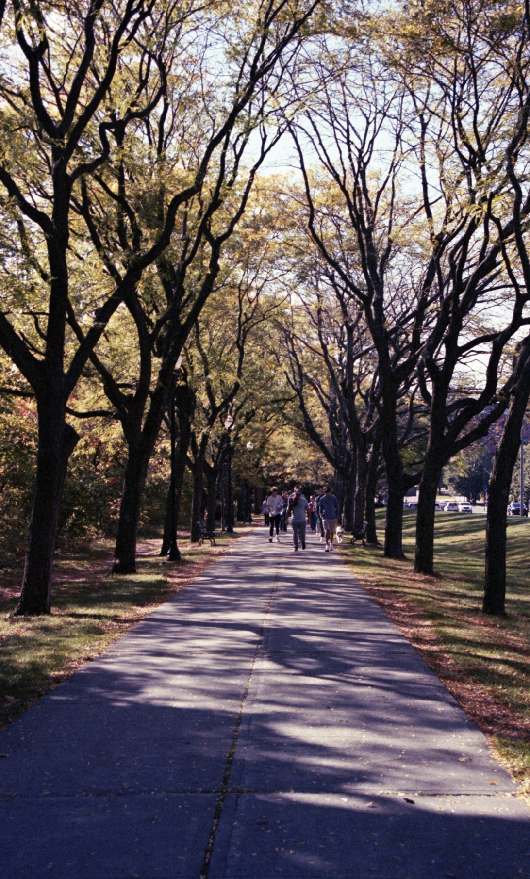 Screenshot 2026-01-17 at 7.32.44 PM.png