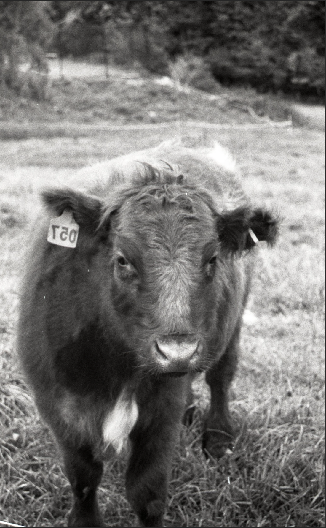 Screenshot 2026-01-17 at 7.28.21 PM.png