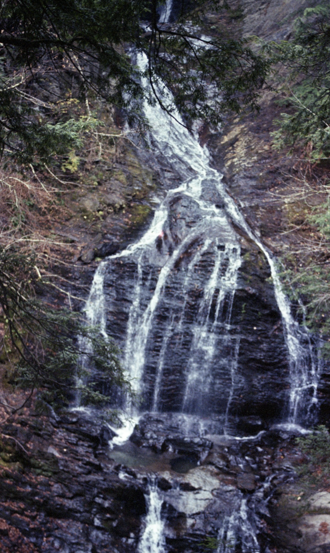 Screenshot 2026-01-17 at 7.34.54 PM.png