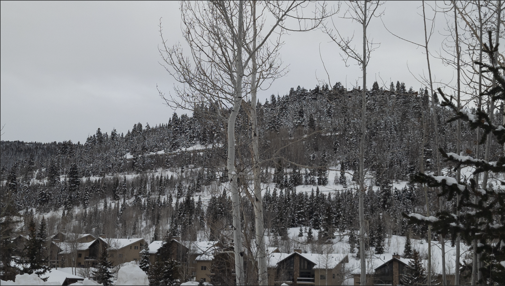 Screenshot 2026-01-17 at 7.12.20 PM.png