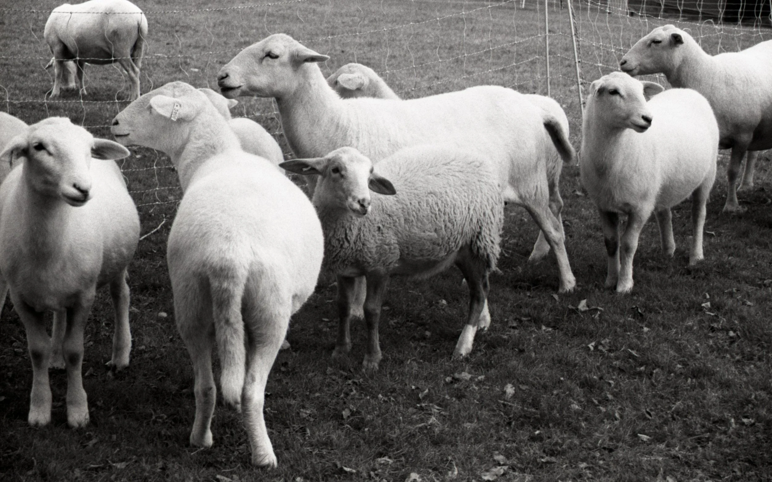 Louisa Story20251119_95.jpg