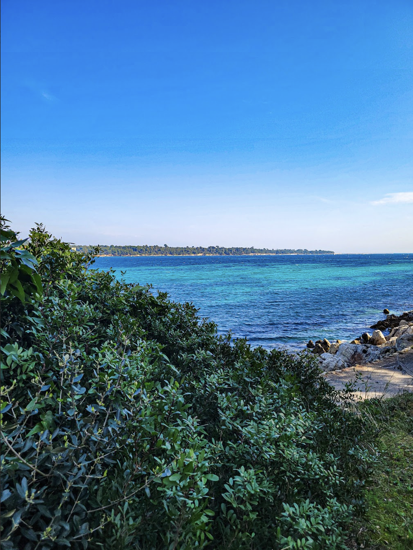 Screenshot 2026-01-17 at 7.10.30 PM.png