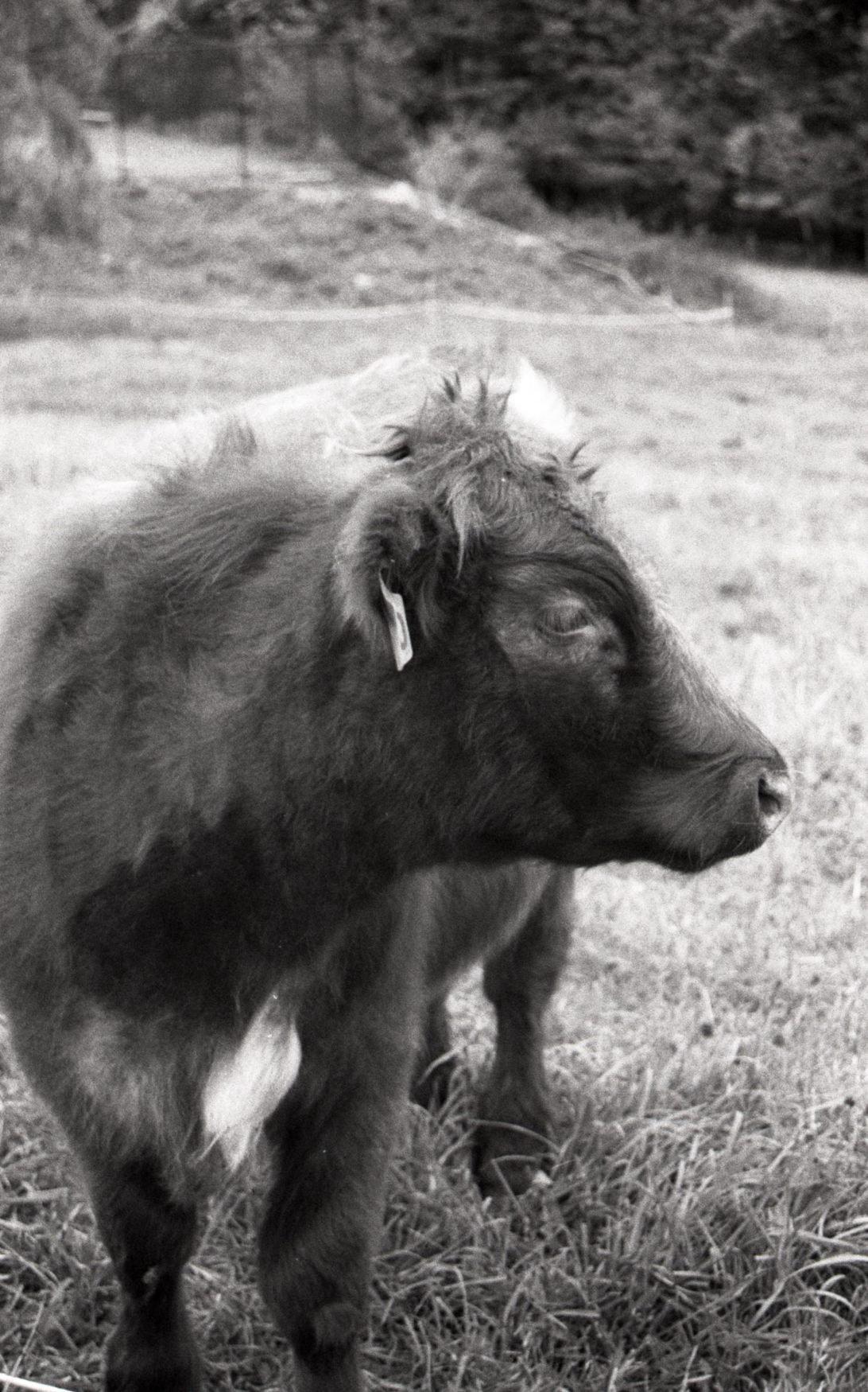 Screenshot 2026-01-17 at 7.28.29 PM.png