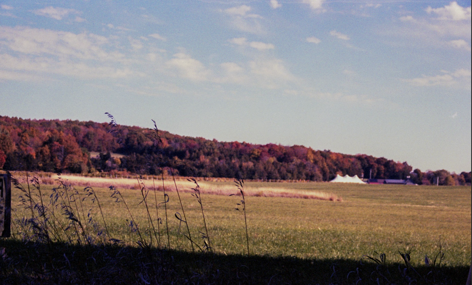 Screenshot 2026-01-17 at 7.39.26 PM.png