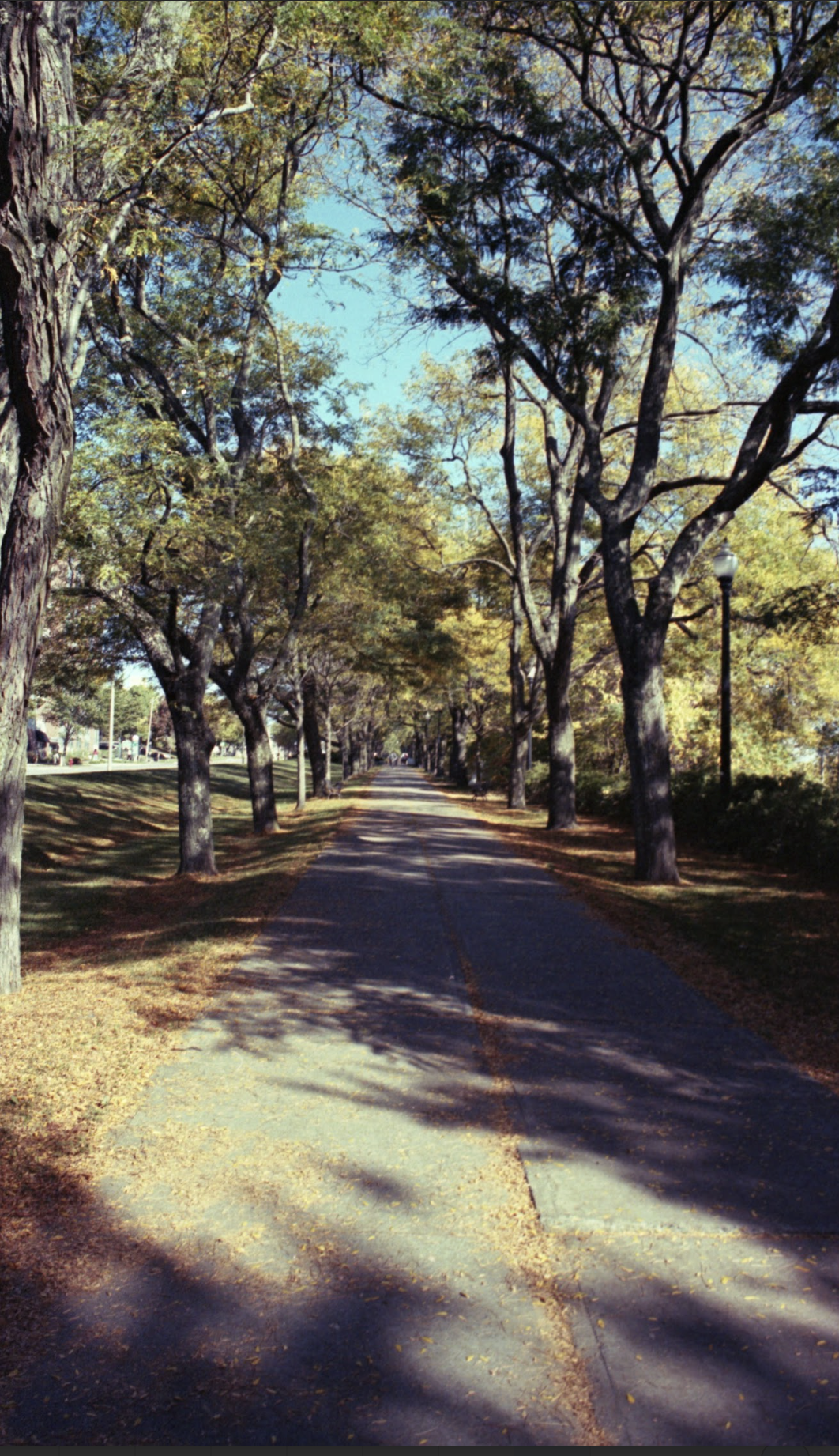 Screenshot 2026-01-17 at 7.32.51 PM.png