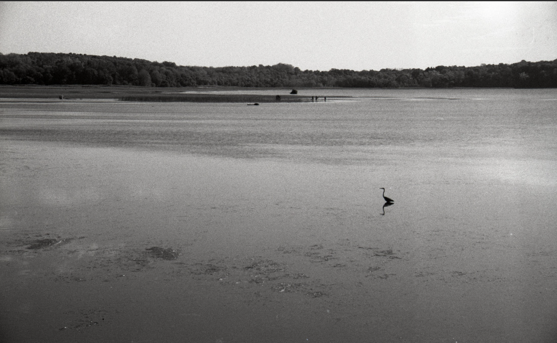 Screenshot 2026-01-17 at 7.25.16 PM.png