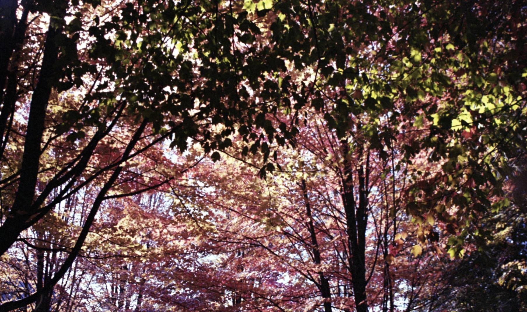 Screenshot 2026-01-17 at 7.32.59 PM.png