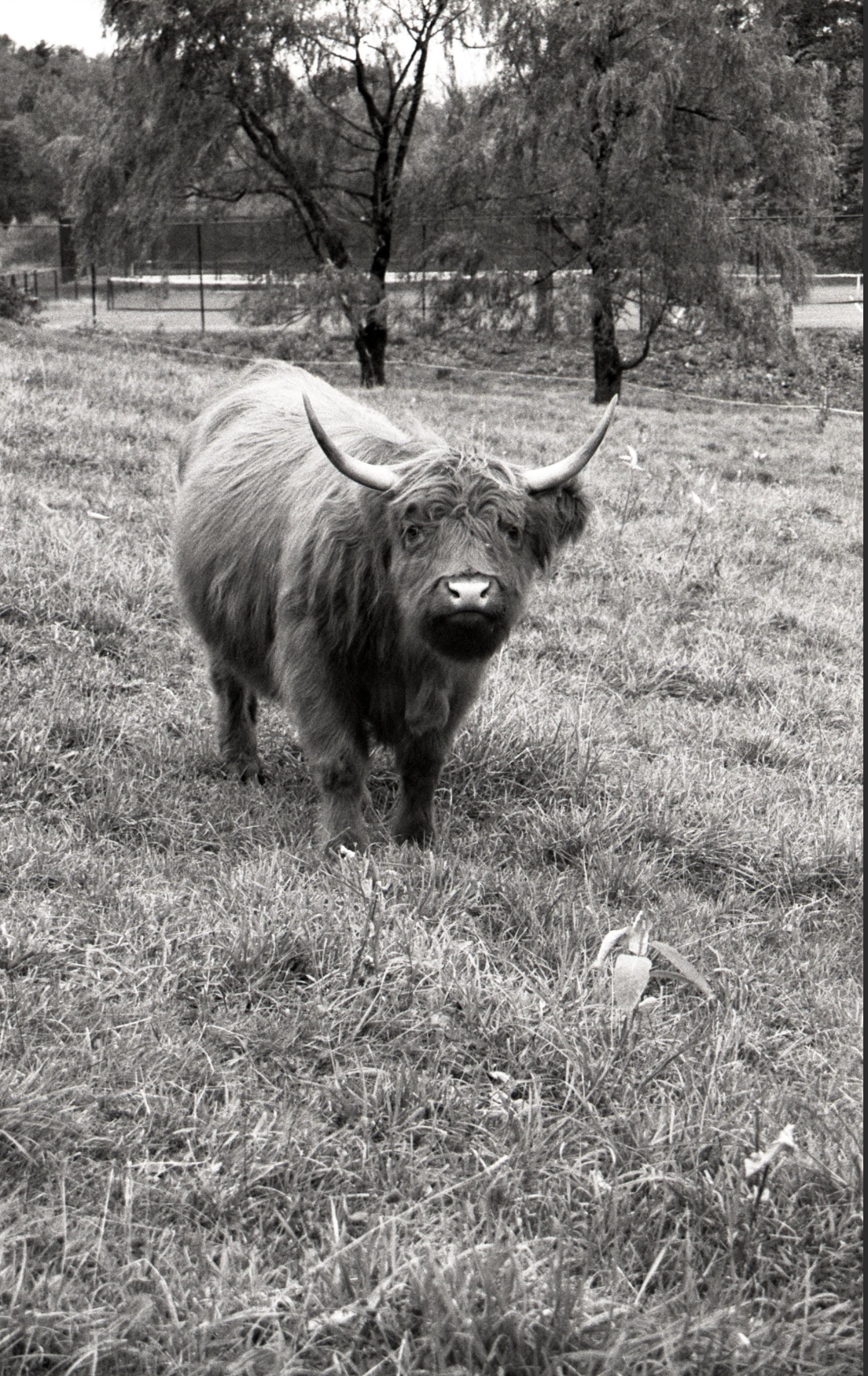 Screenshot 2026-01-17 at 7.29.00 PM.png