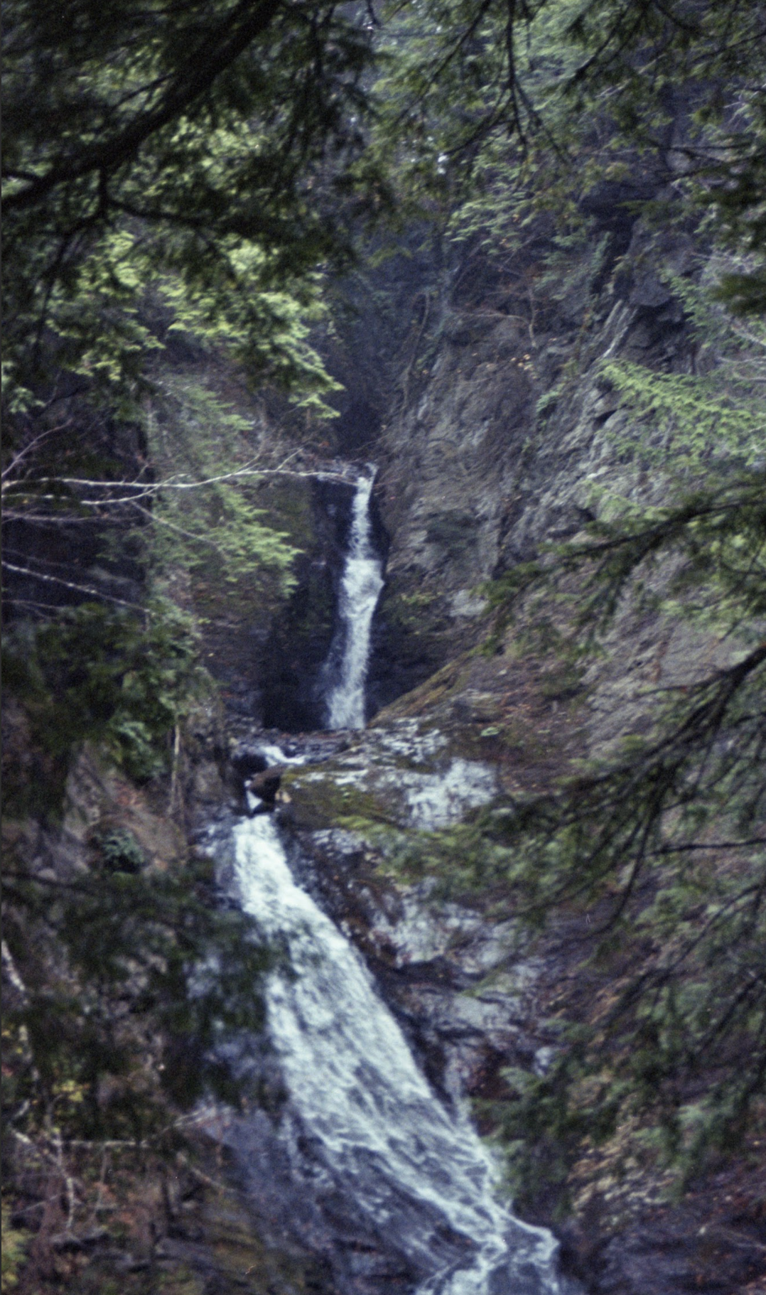 Screenshot 2026-01-17 at 7.34.40 PM.png