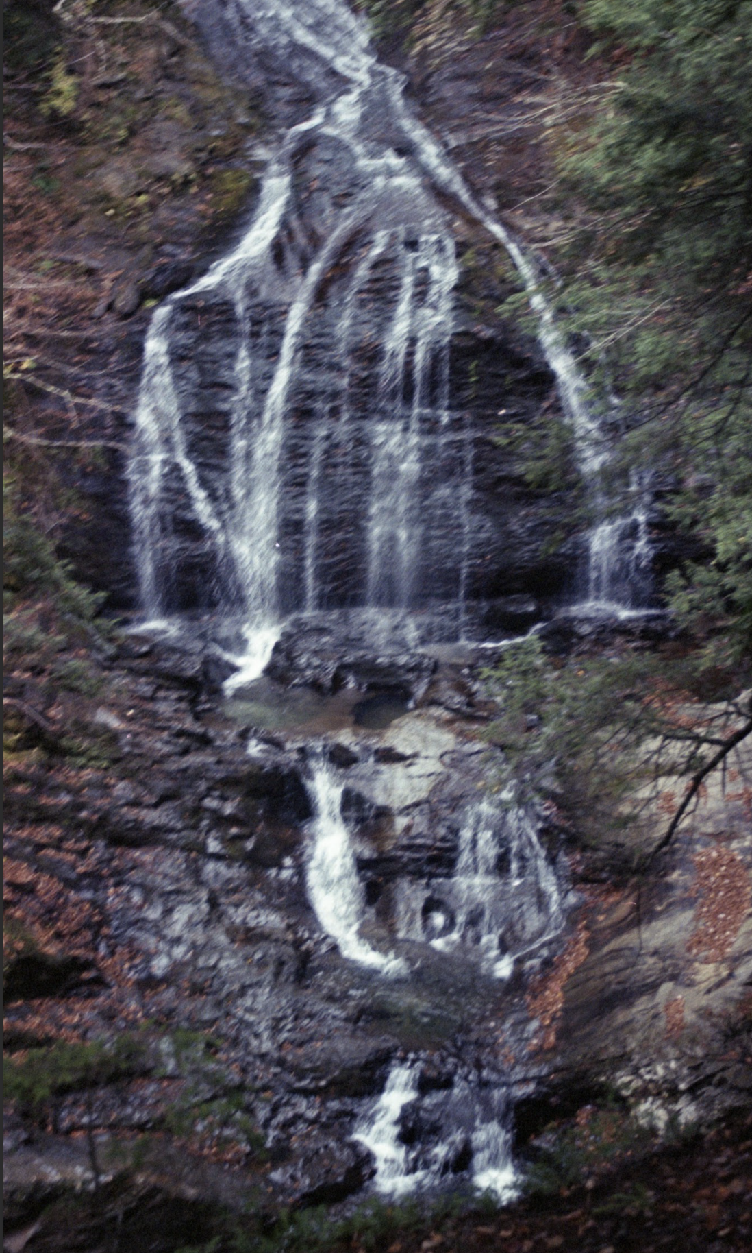 Screenshot 2026-01-17 at 7.34.47 PM.png