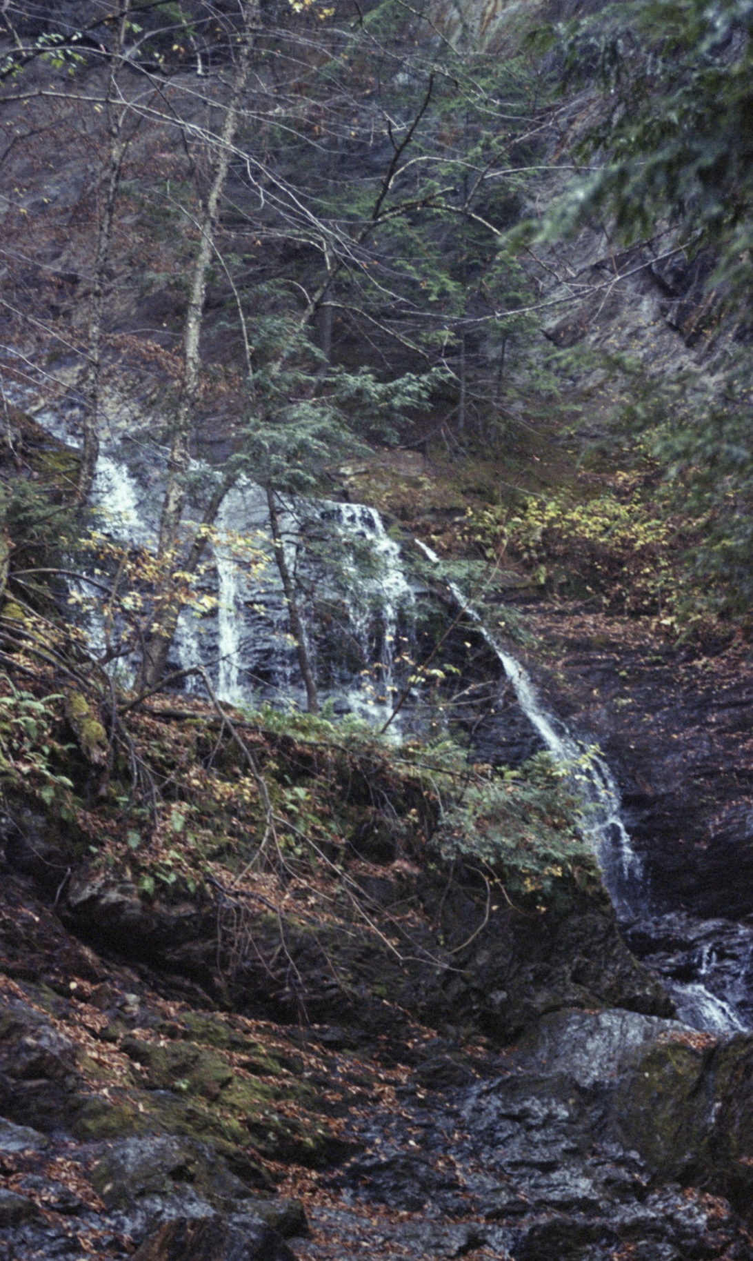 Screenshot 2026-01-17 at 7.34.05 PM.png