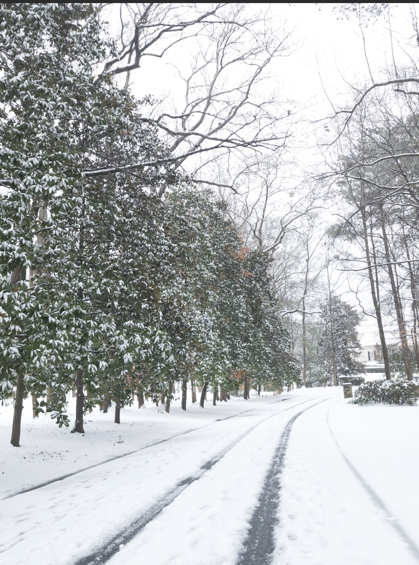 Screenshot 2026-01-17 at 7.11.06 PM.png