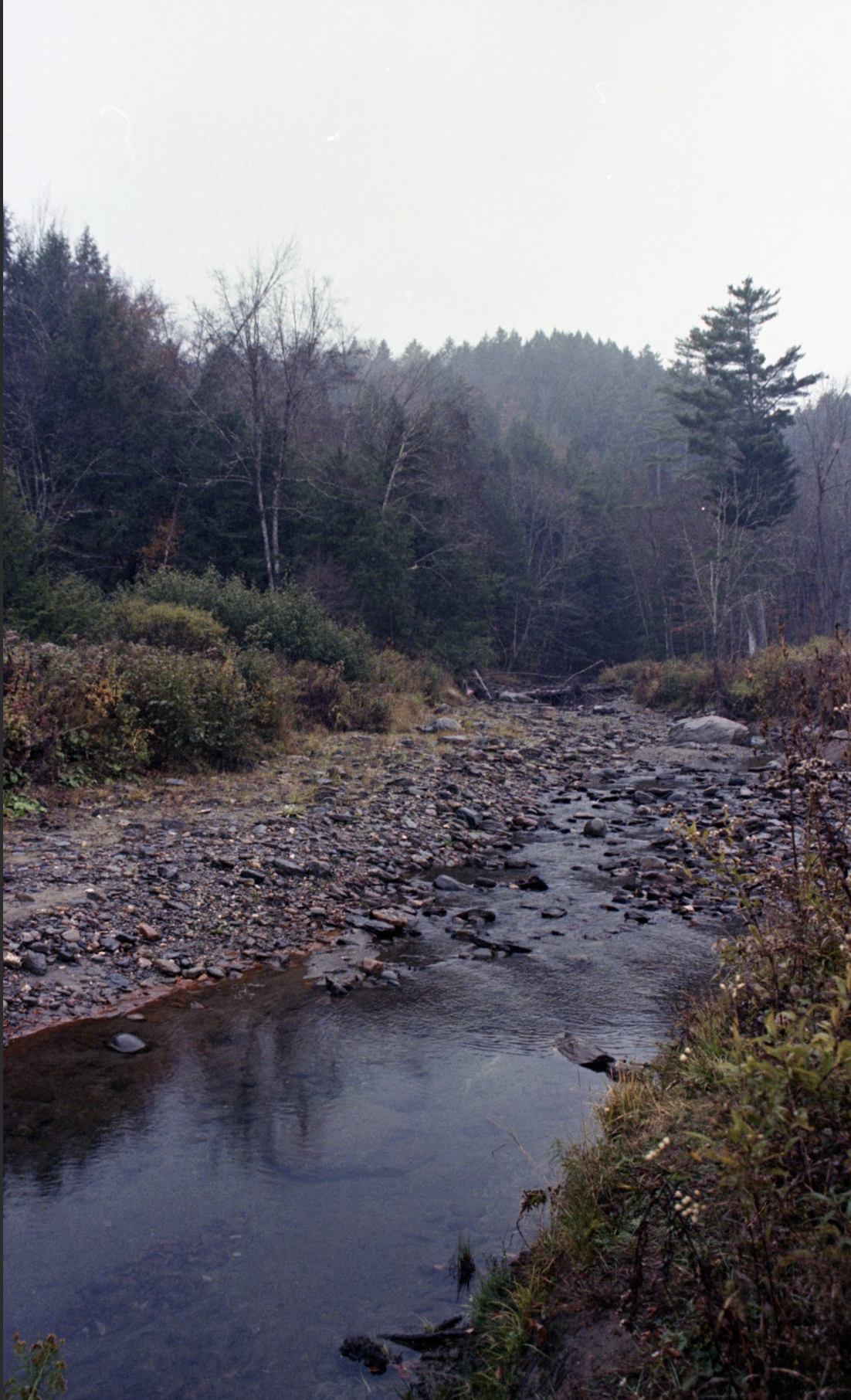 Screenshot 2026-01-17 at 7.35.22 PM.png