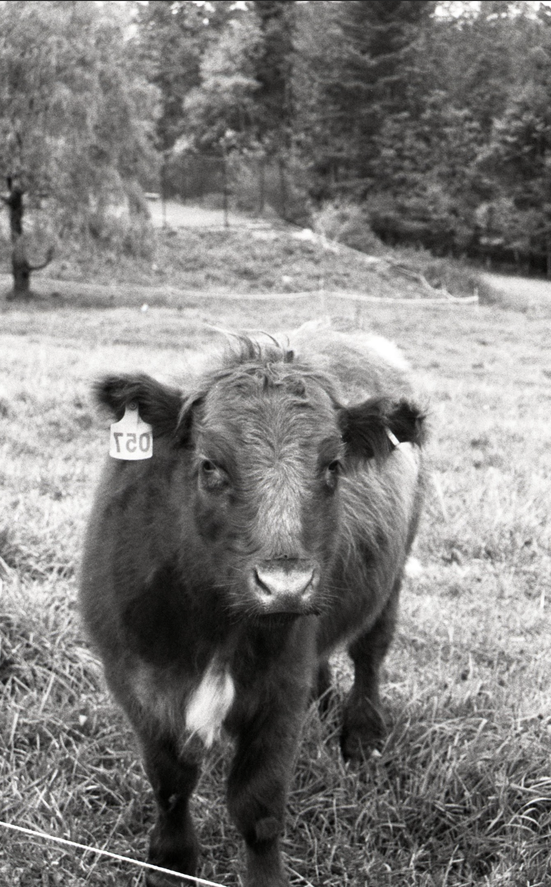 Screenshot 2026-01-17 at 7.28.38 PM.png