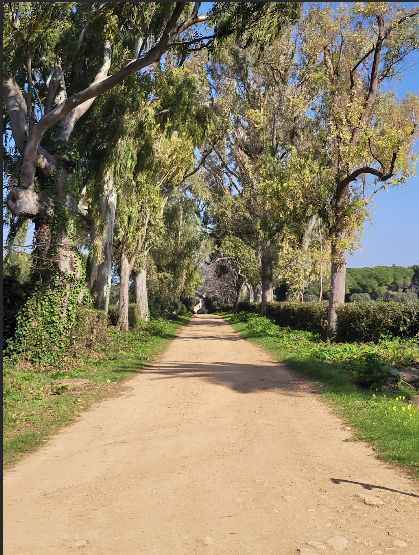 Screenshot 2026-01-17 at 7.10.14 PM.png