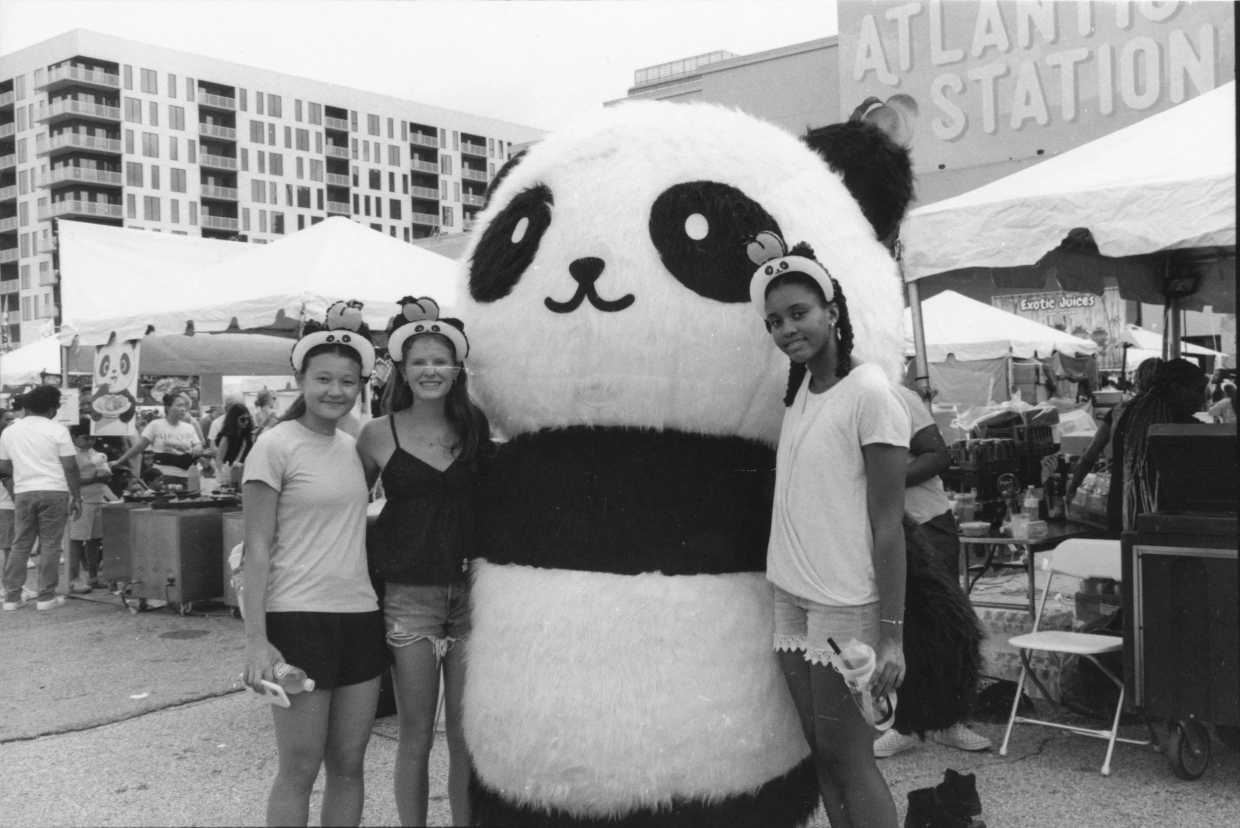 Louisa Story- Panda Fest Cropped.jpg