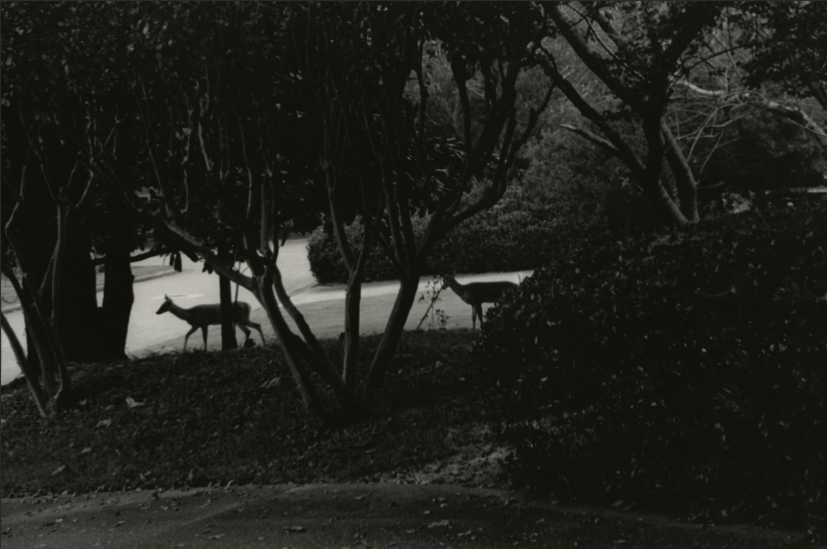 Screenshot 2026-01-17 at 7.40.34 PM.png