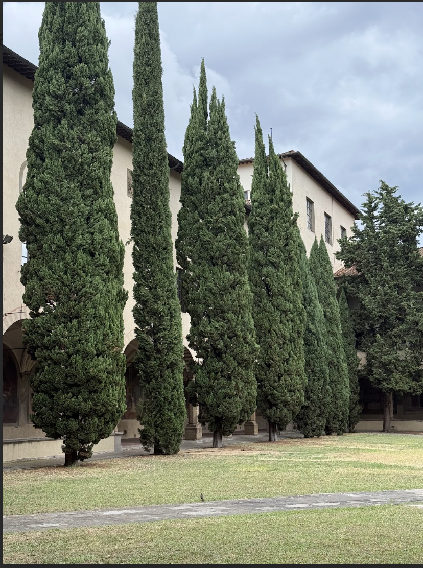 Screenshot 2026-01-17 at 7.06.44 PM.png