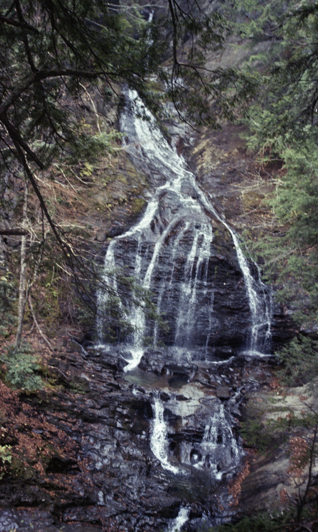 Screenshot 2026-01-17 at 7.34.33 PM.png