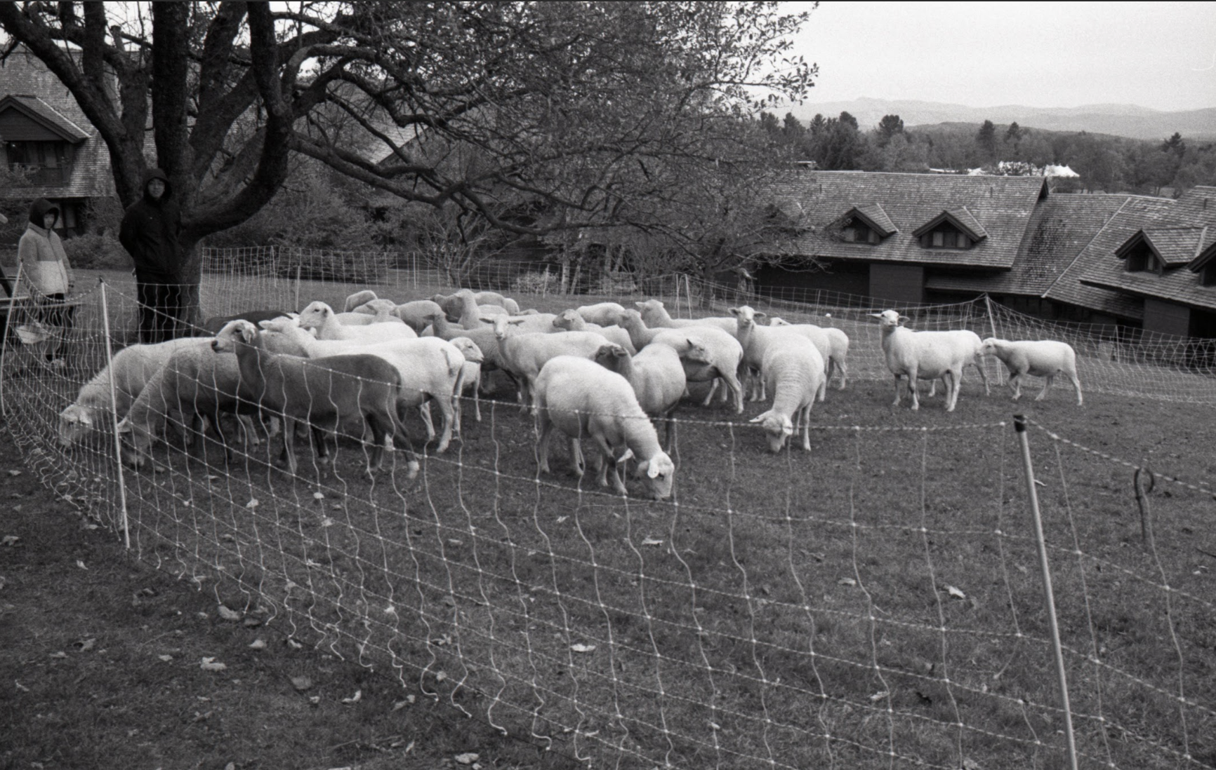 Screenshot 2026-01-17 at 7.27.40 PM.png