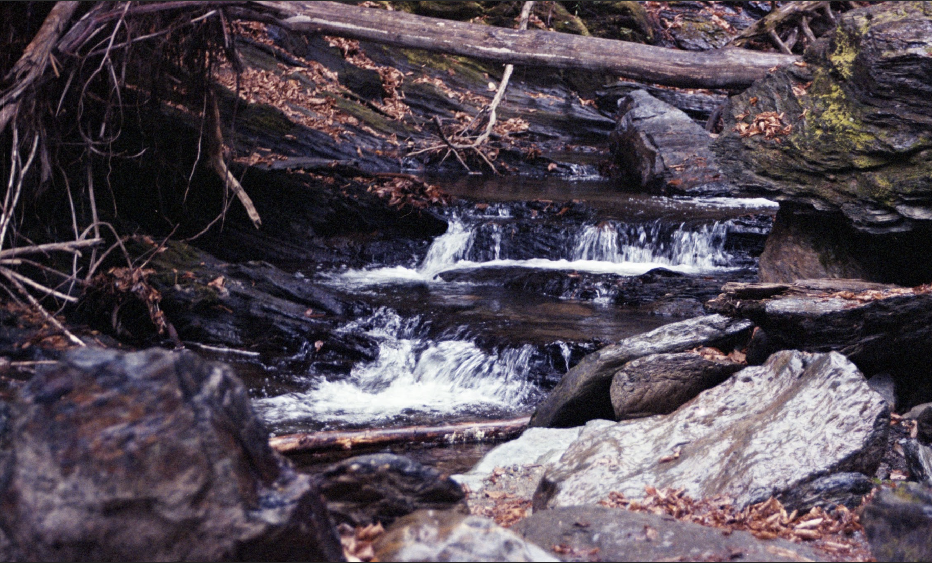 Screenshot 2026-01-17 at 7.33.58 PM.png