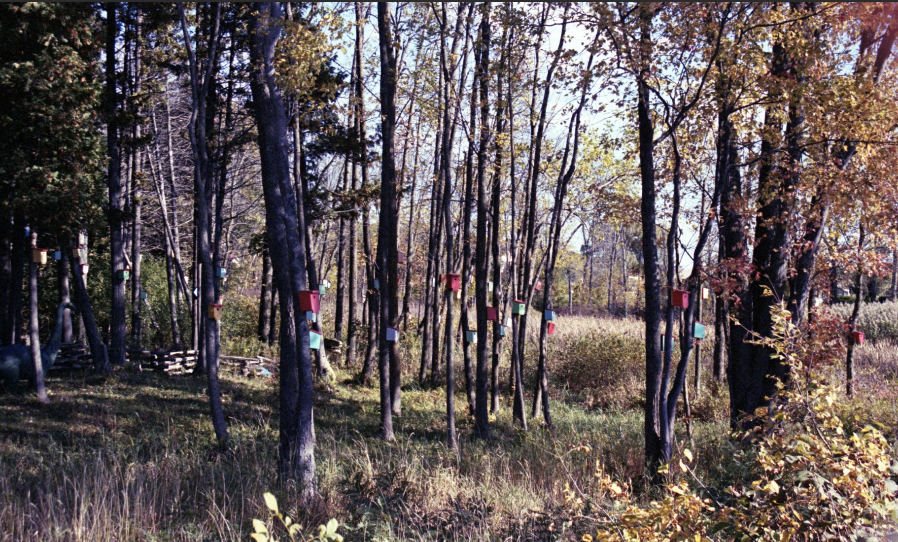 Screenshot 2026-01-17 at 7.29.19 PM.png