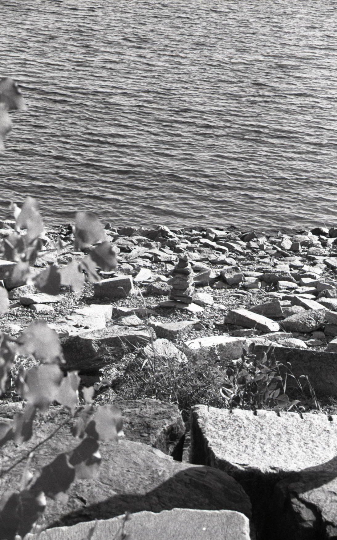 Screenshot 2026-01-17 at 7.24.31 PM.png