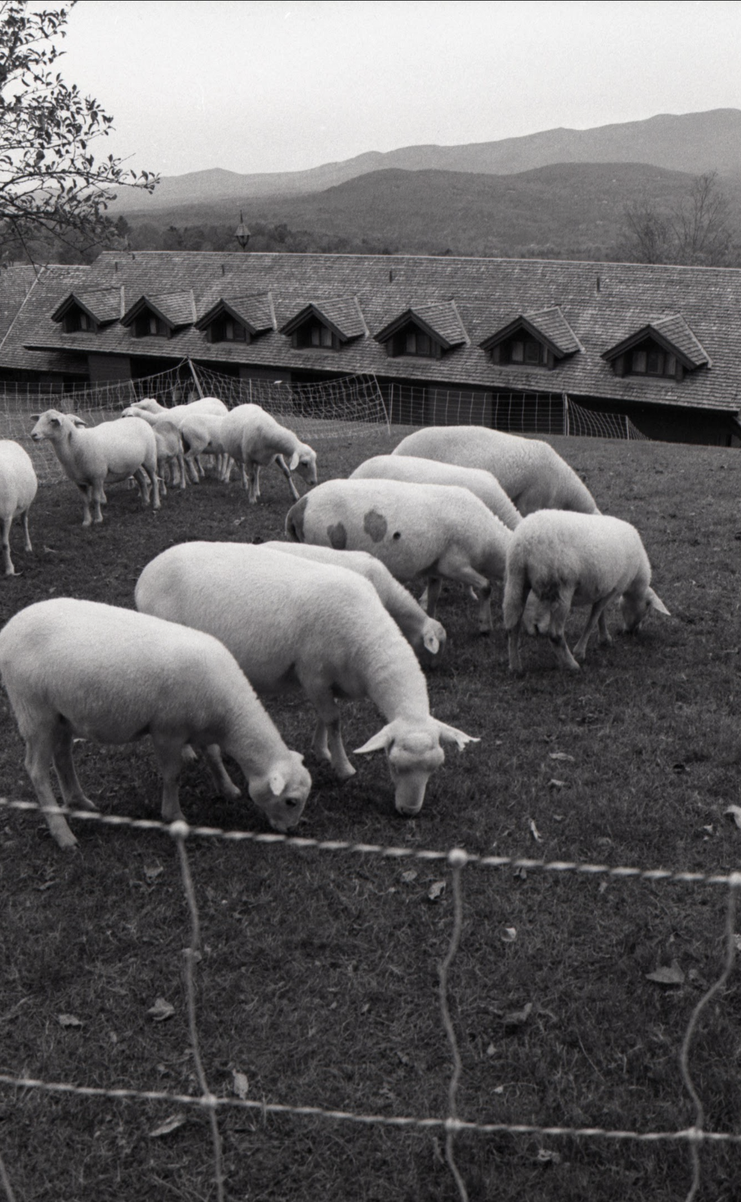 Screenshot 2026-01-17 at 7.27.58 PM.png