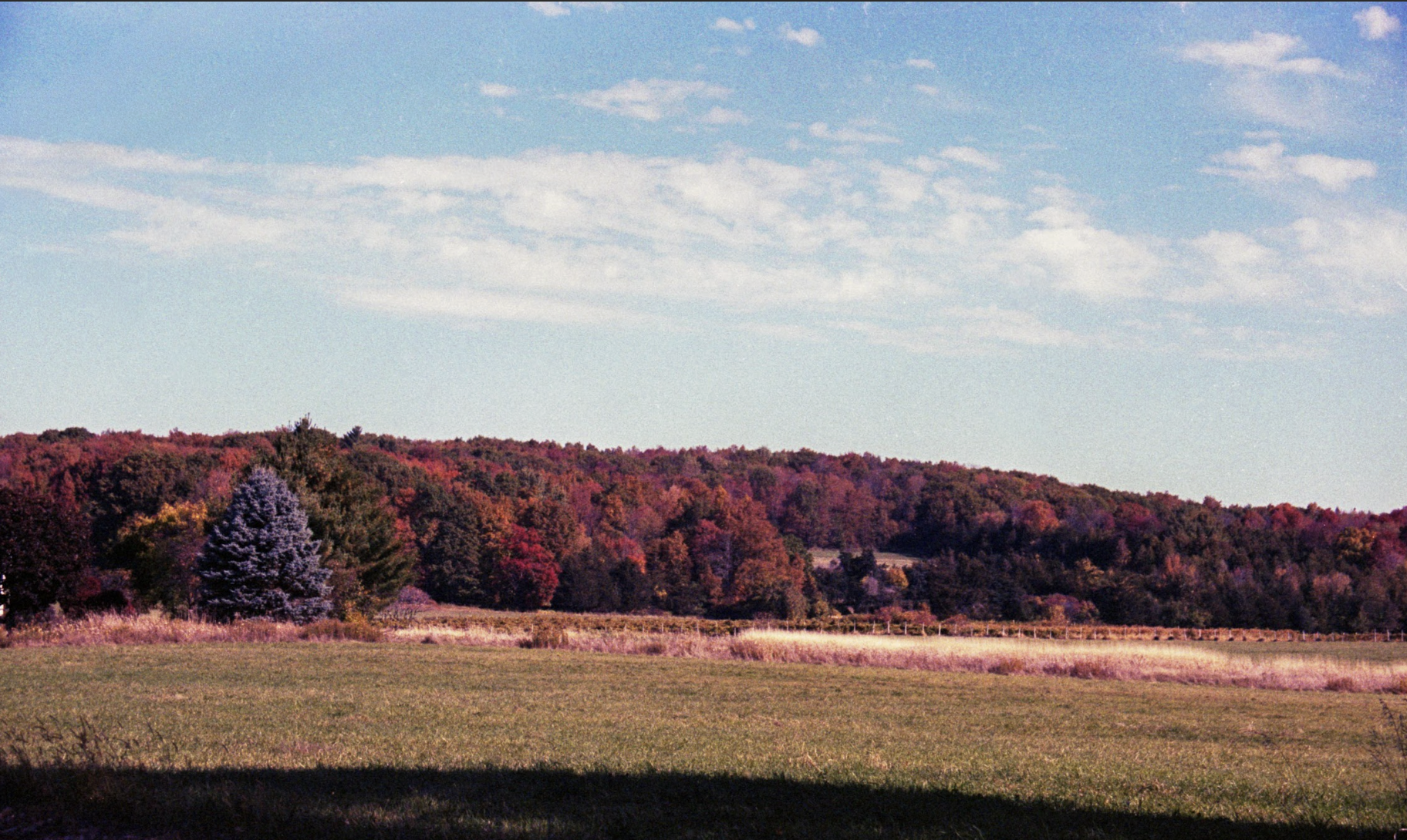 Screenshot 2026-01-17 at 7.39.17 PM.png