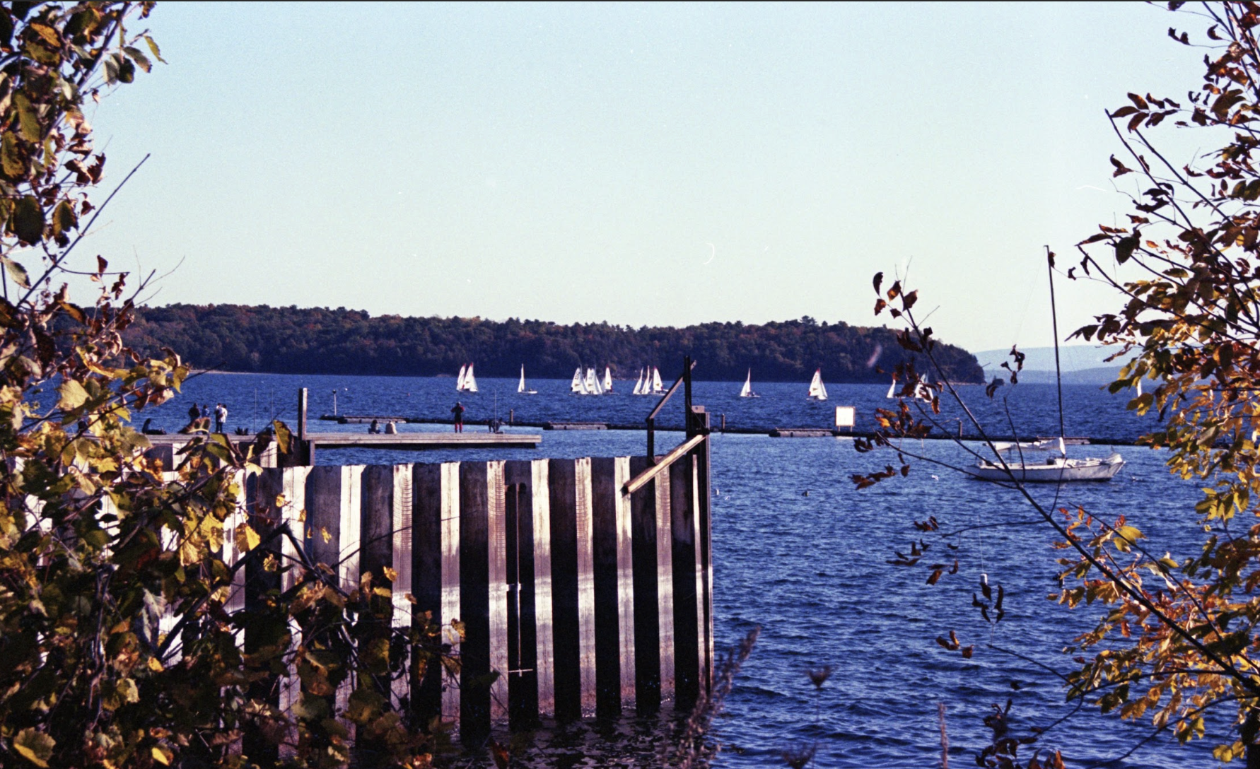 Screenshot 2026-01-17 at 7.32.04 PM.png