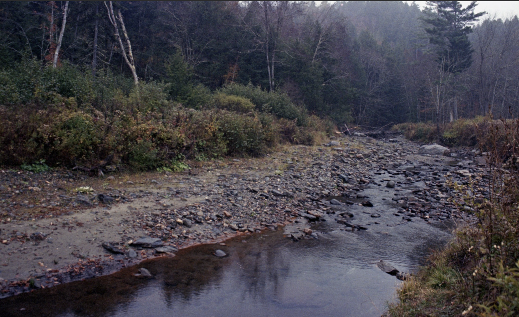 Screenshot 2026-01-17 at 7.35.14 PM.png