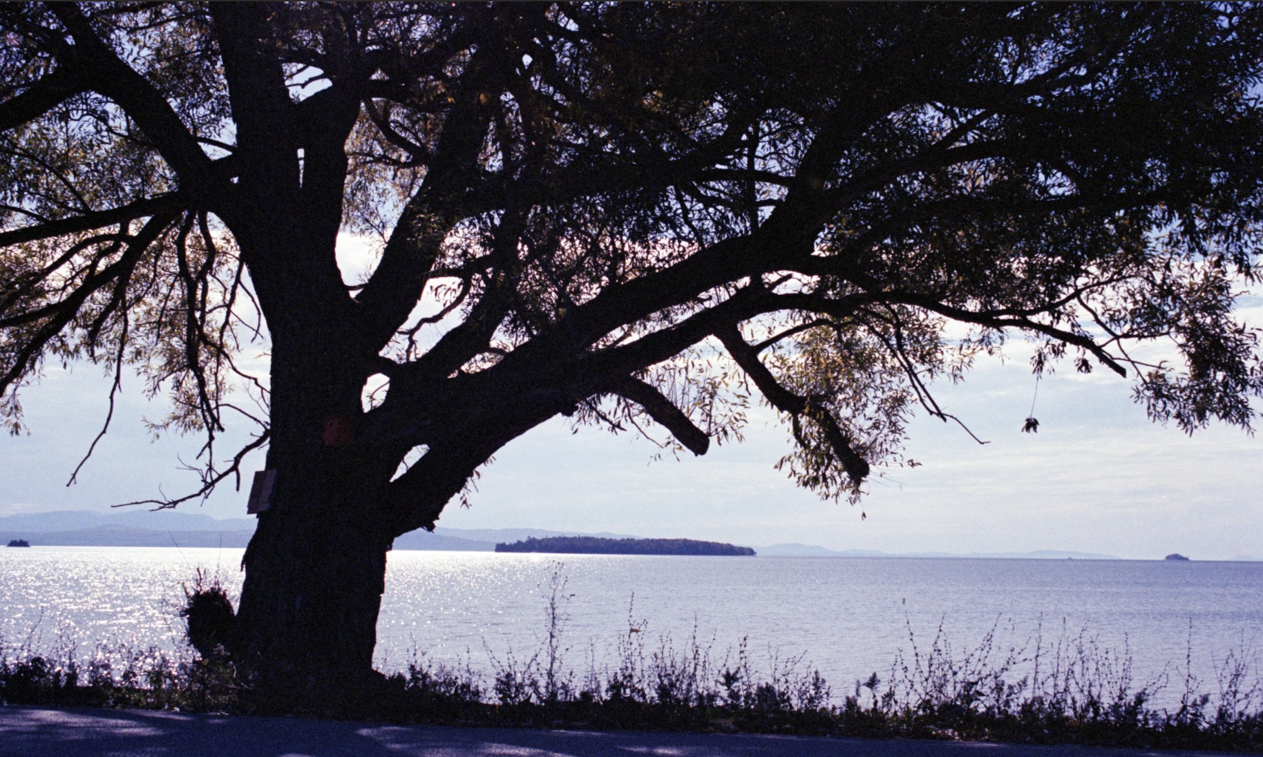 Screenshot 2026-01-17 at 7.37.19 PM.png