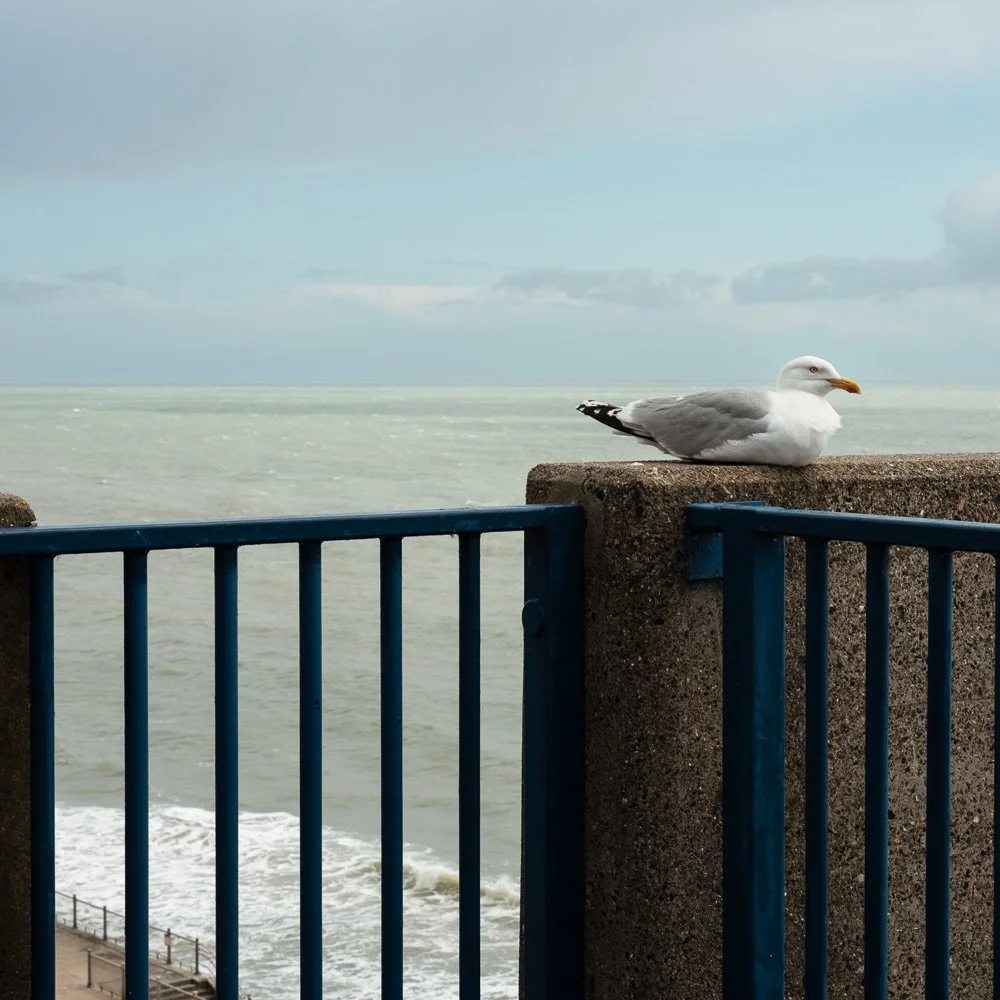 ramsgate6-26-11.jpg