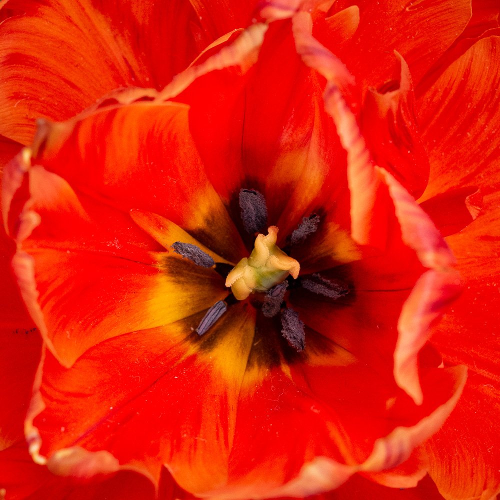 L1000947-Edit.jpg