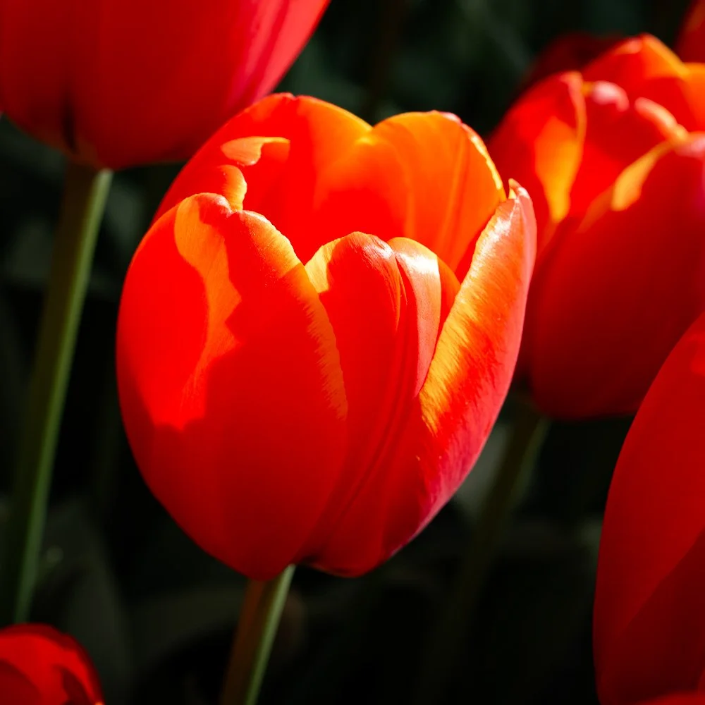 L1000873-Edit.jpg