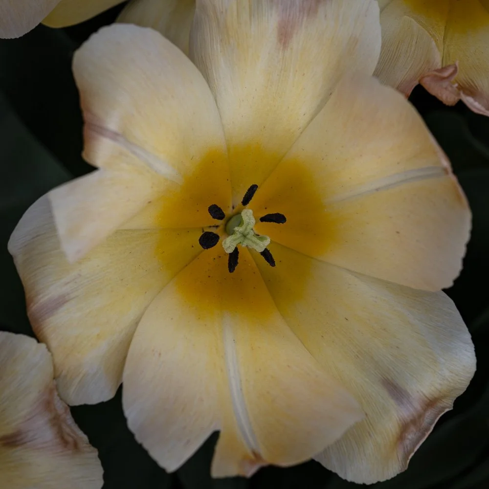 L1000924-Edit.jpg